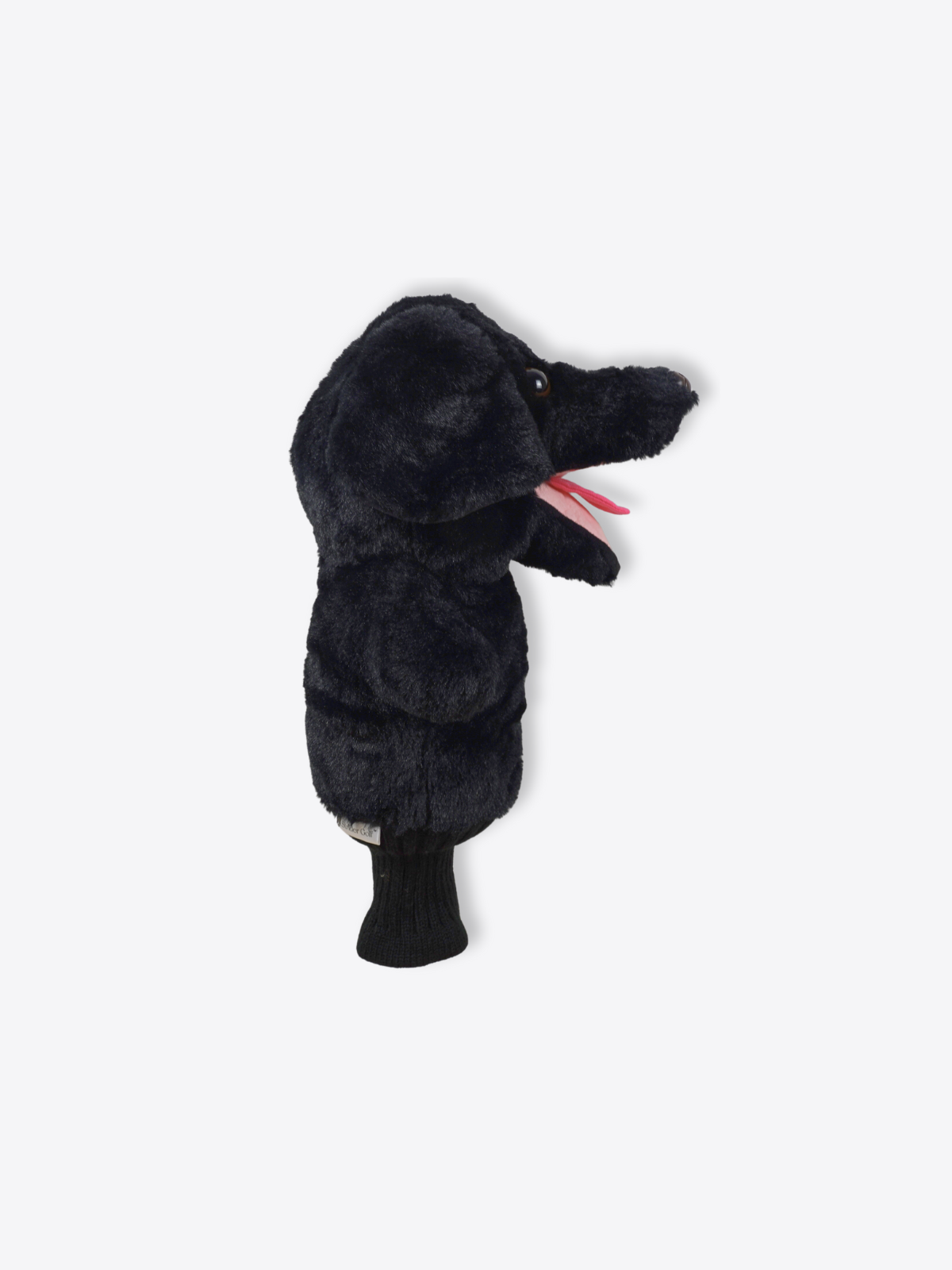 Labrador Retriever Black