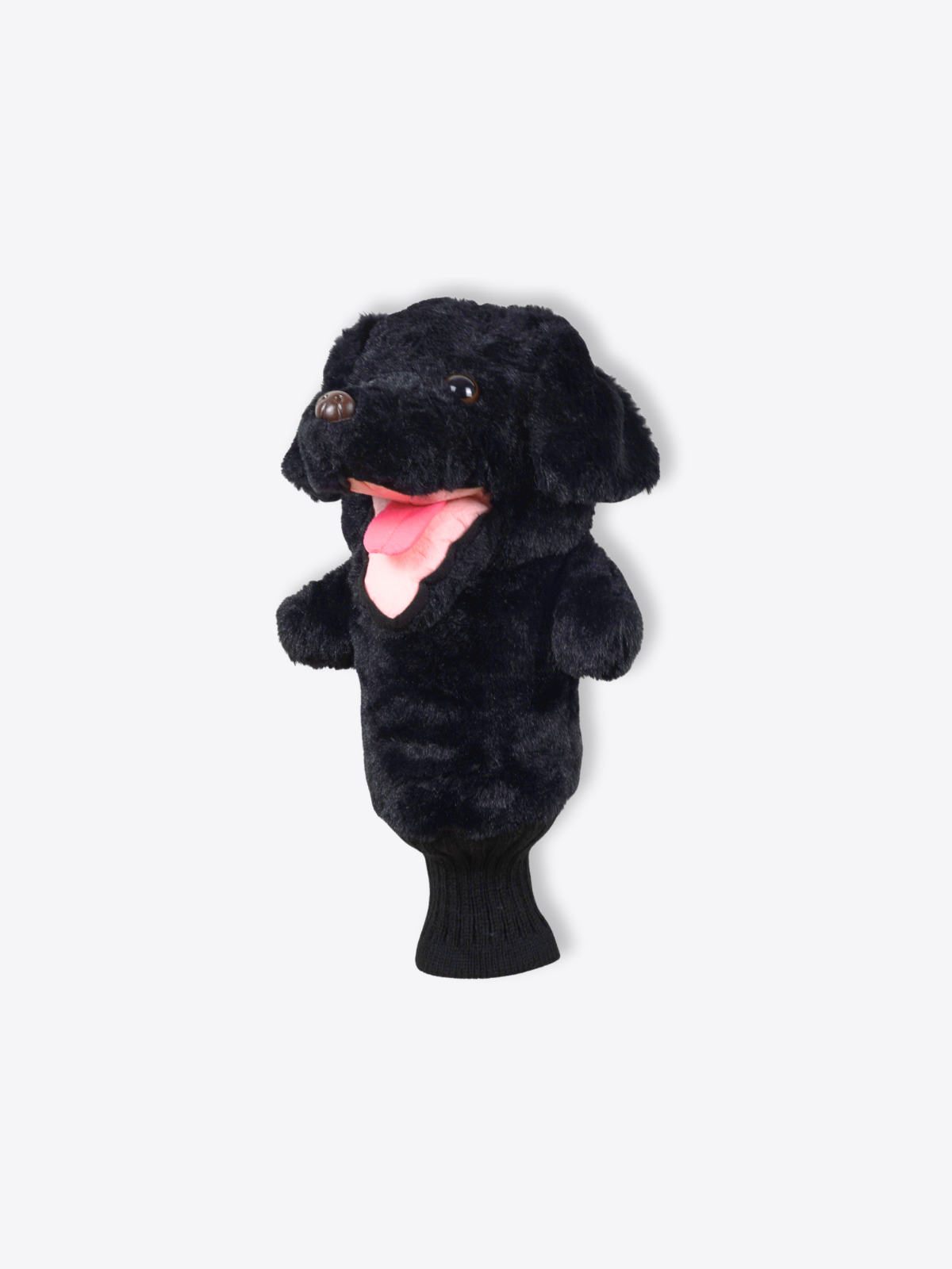 Labrador Retriever Black