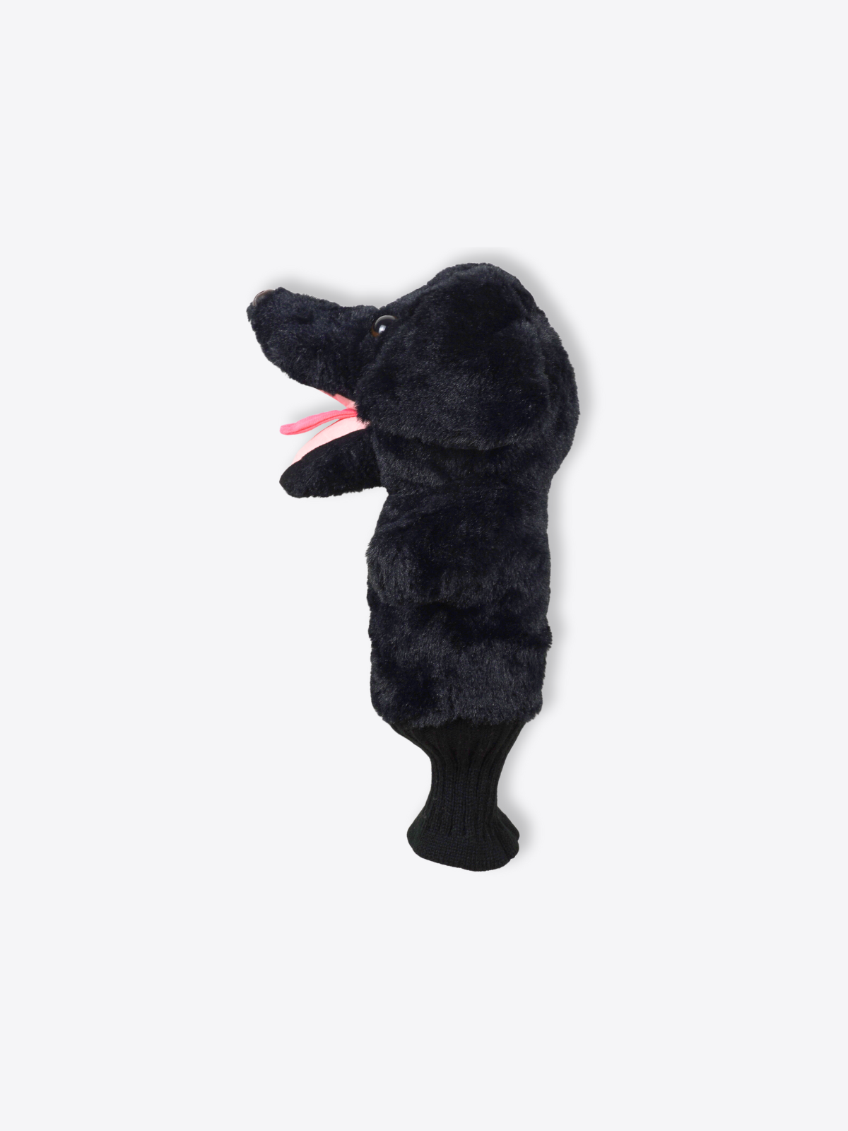 Labrador Retriever Black
