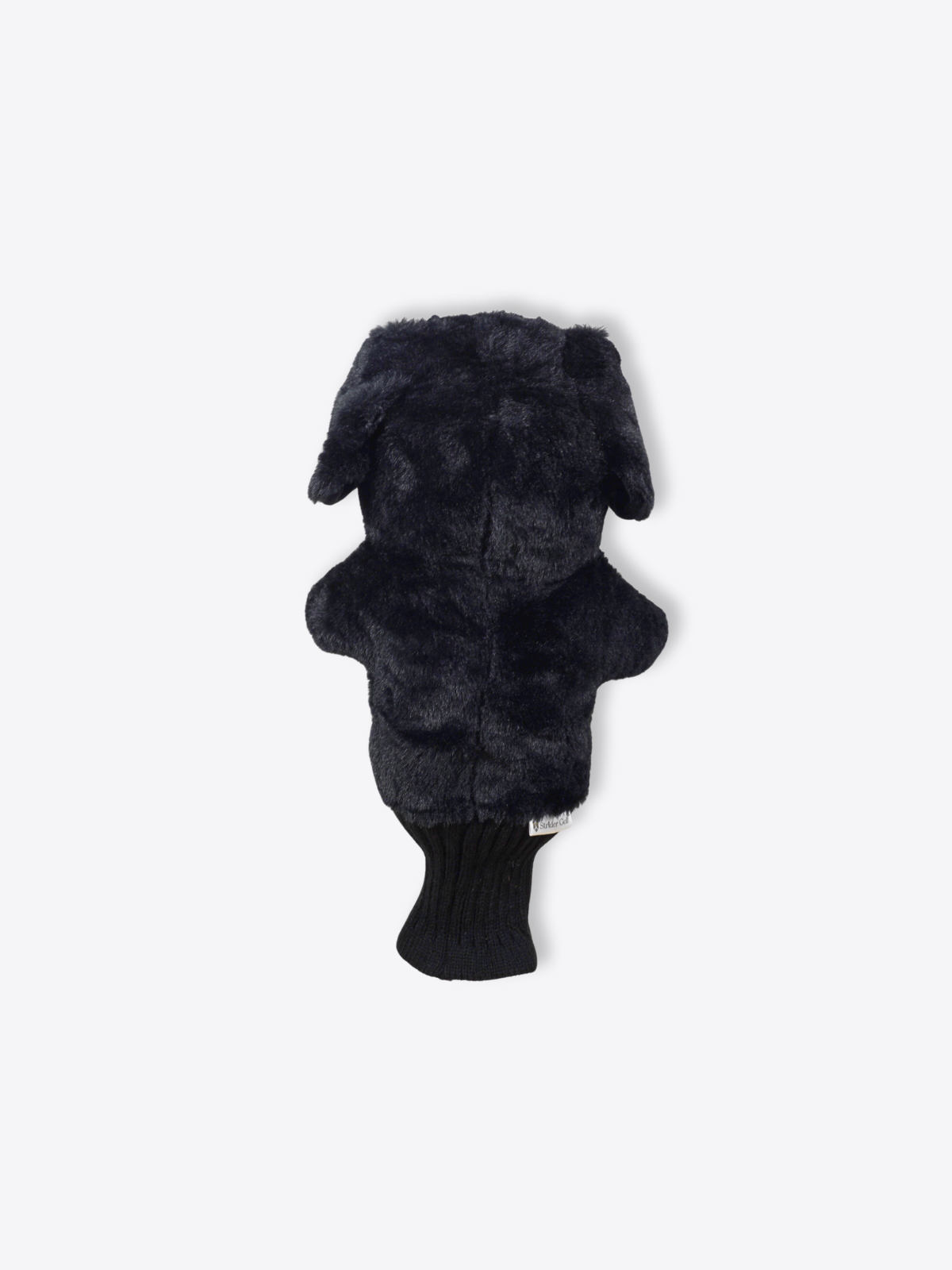 Labrador Retriever Black