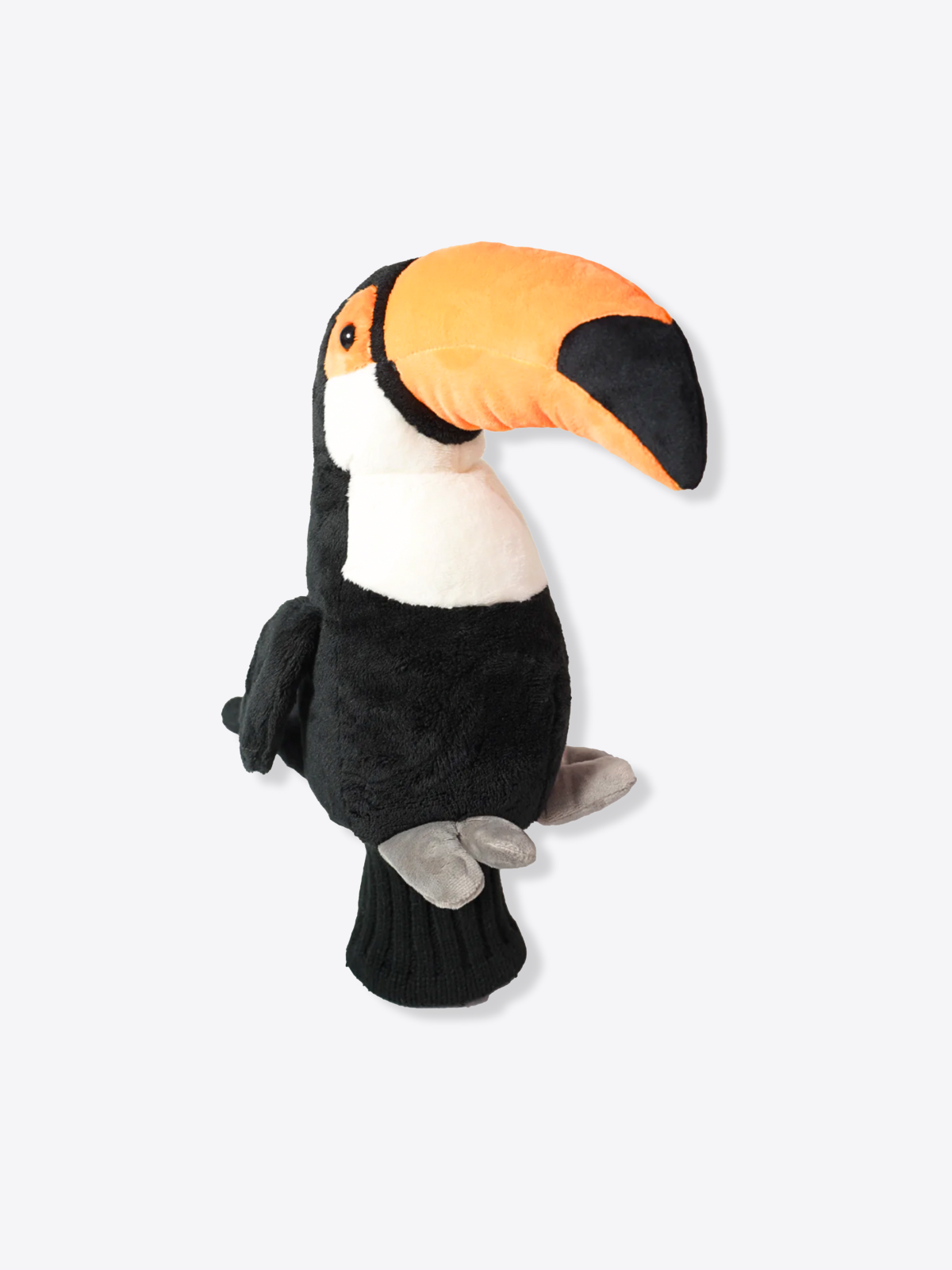 Toucan
