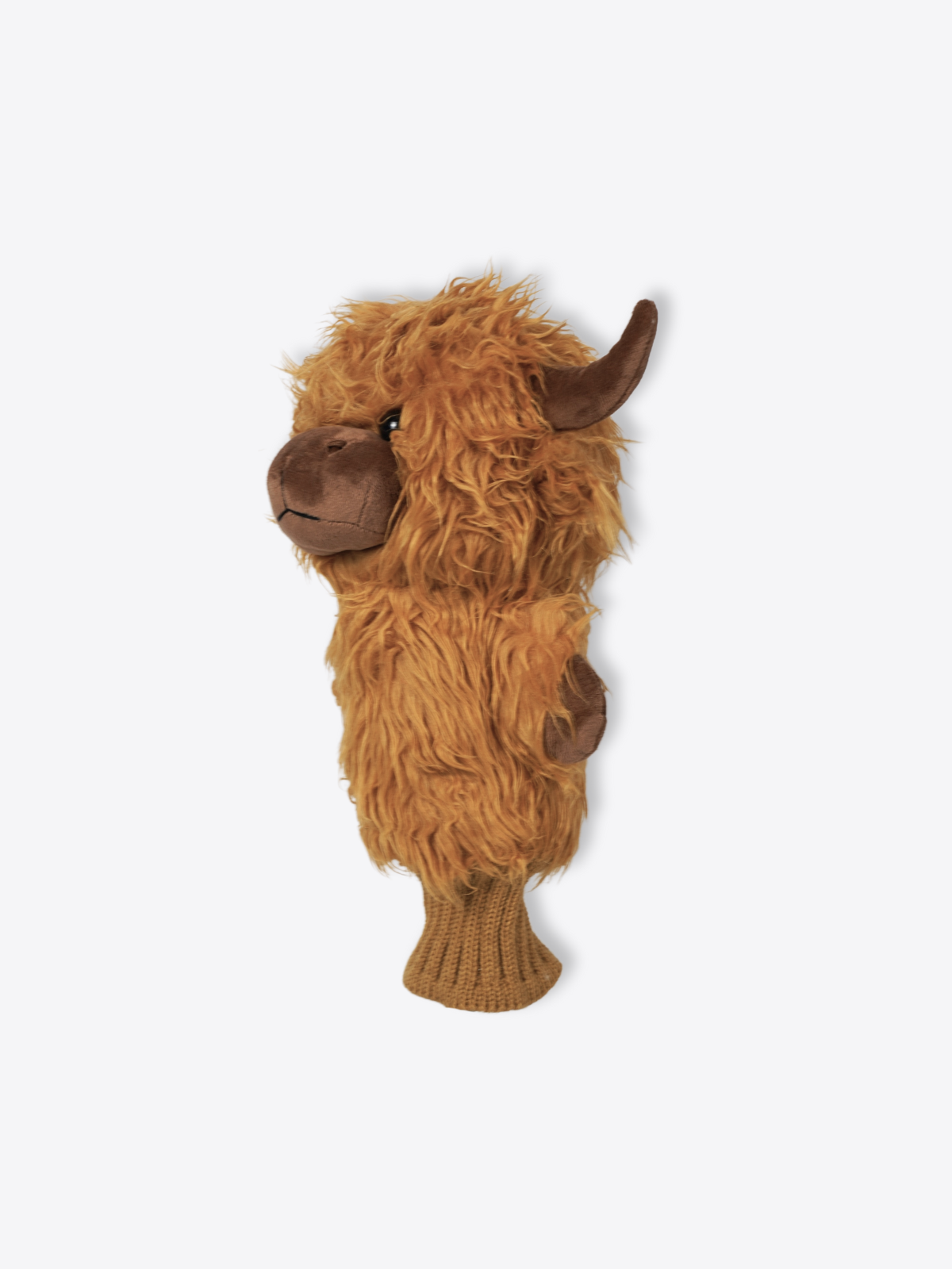 Highland Cattle