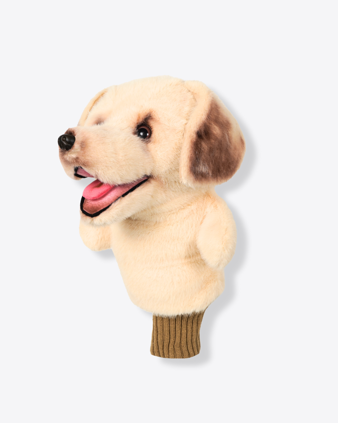 Labrador Retriever Cream