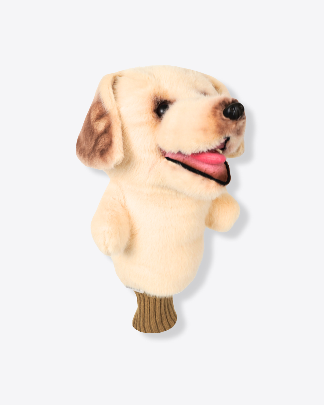 Labrador Retriever Cream