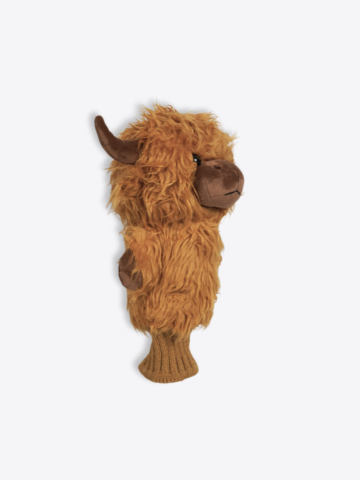 Highland Cattle