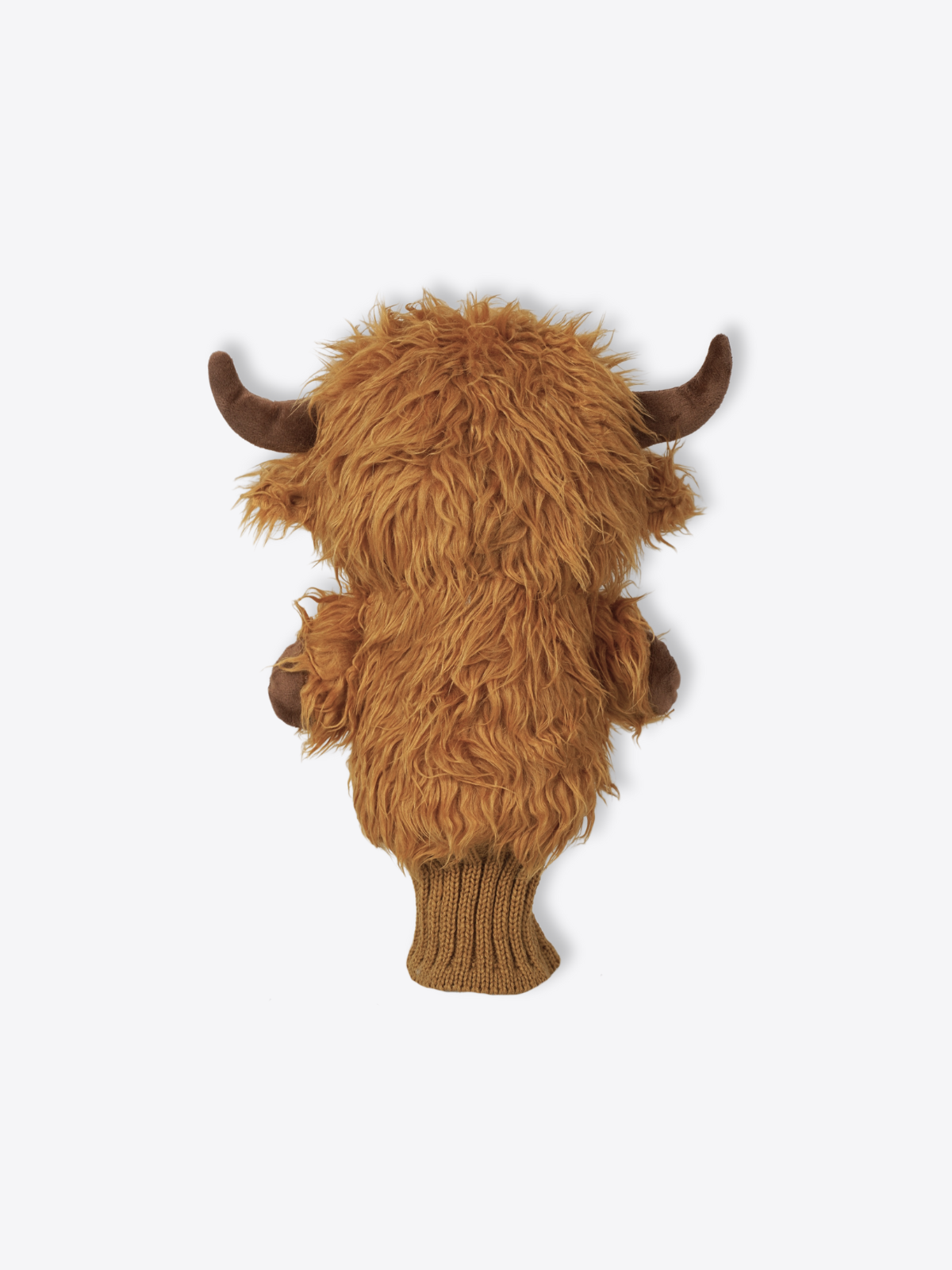 Highland Cattle