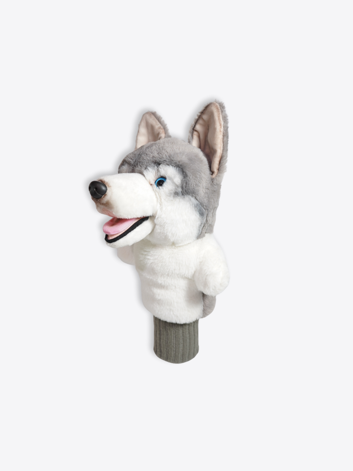 Siberian Husky