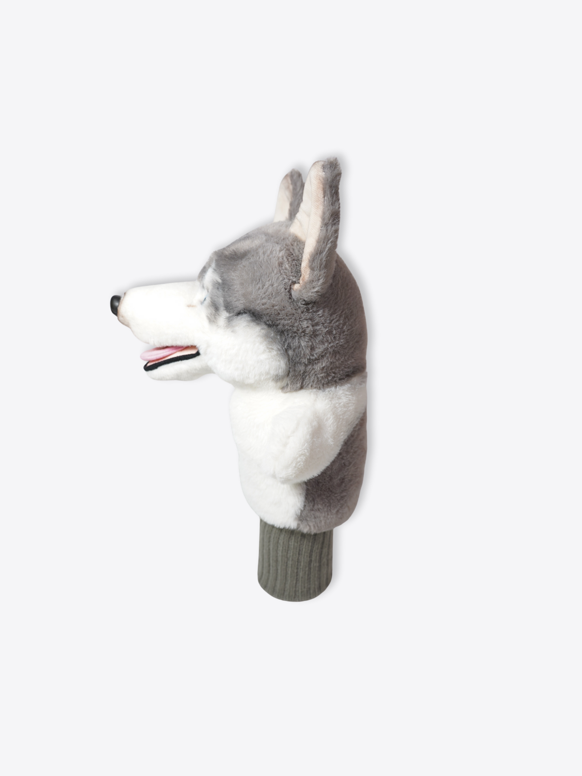 Siberian Husky