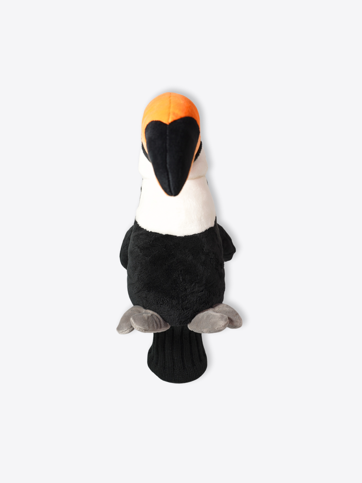 Toucan