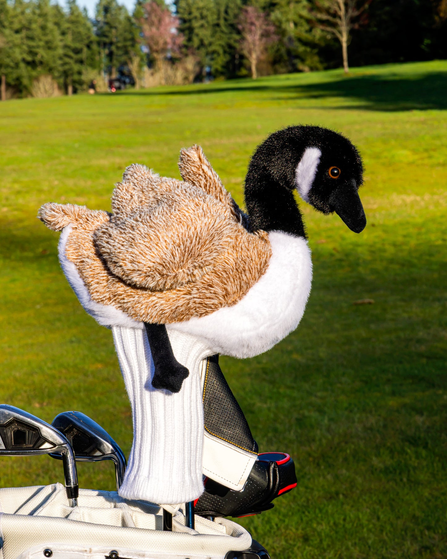 Canada Goose