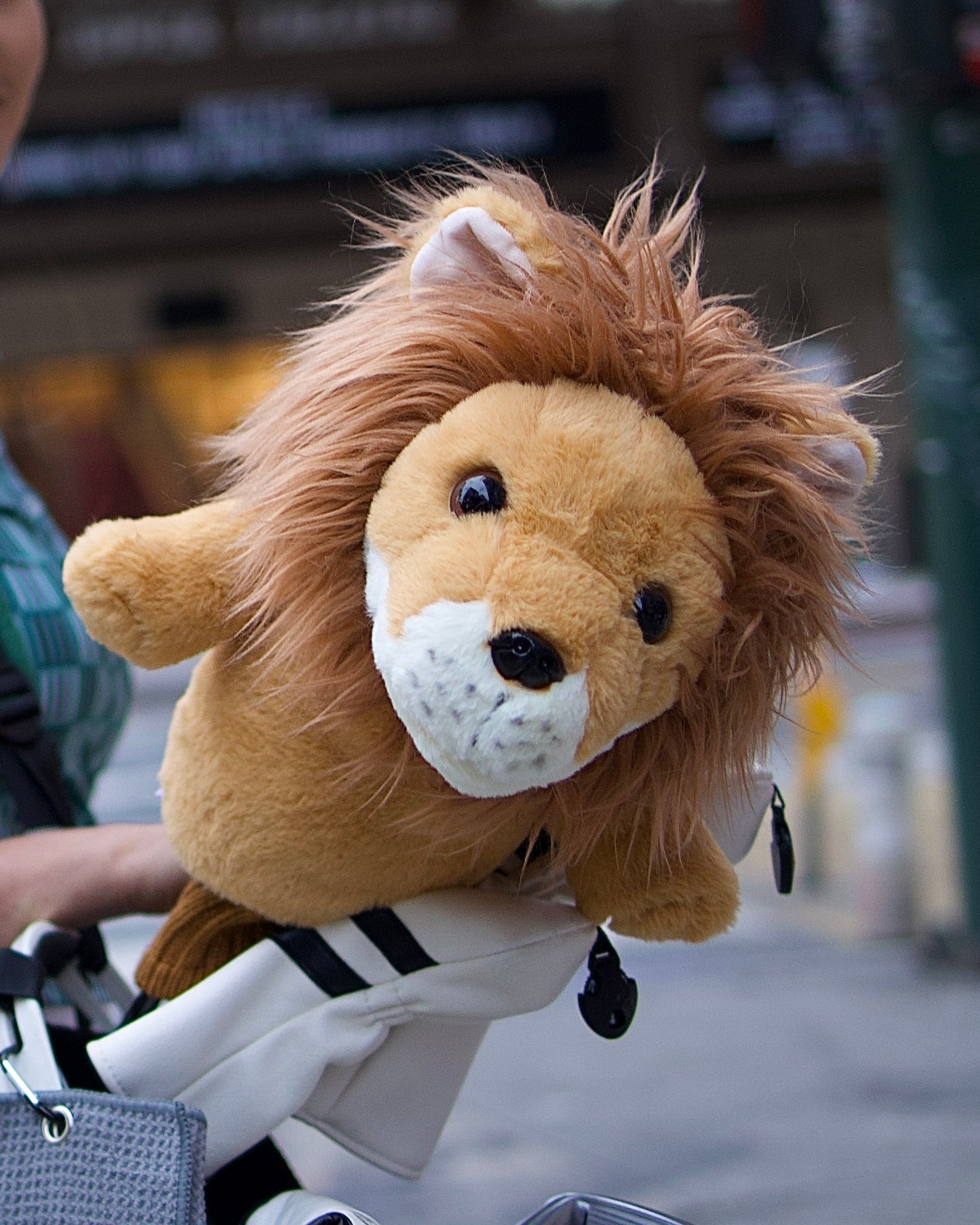Lion