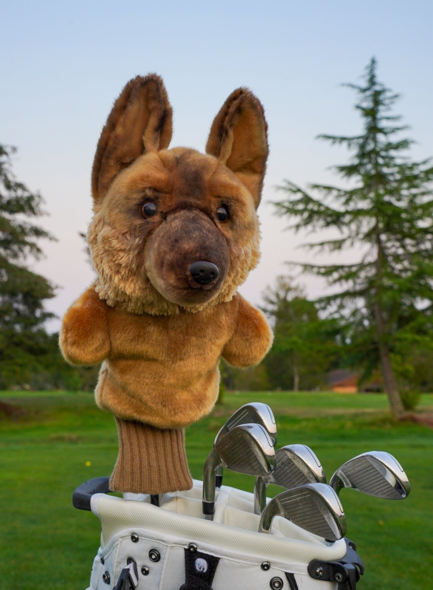 German Shepherd