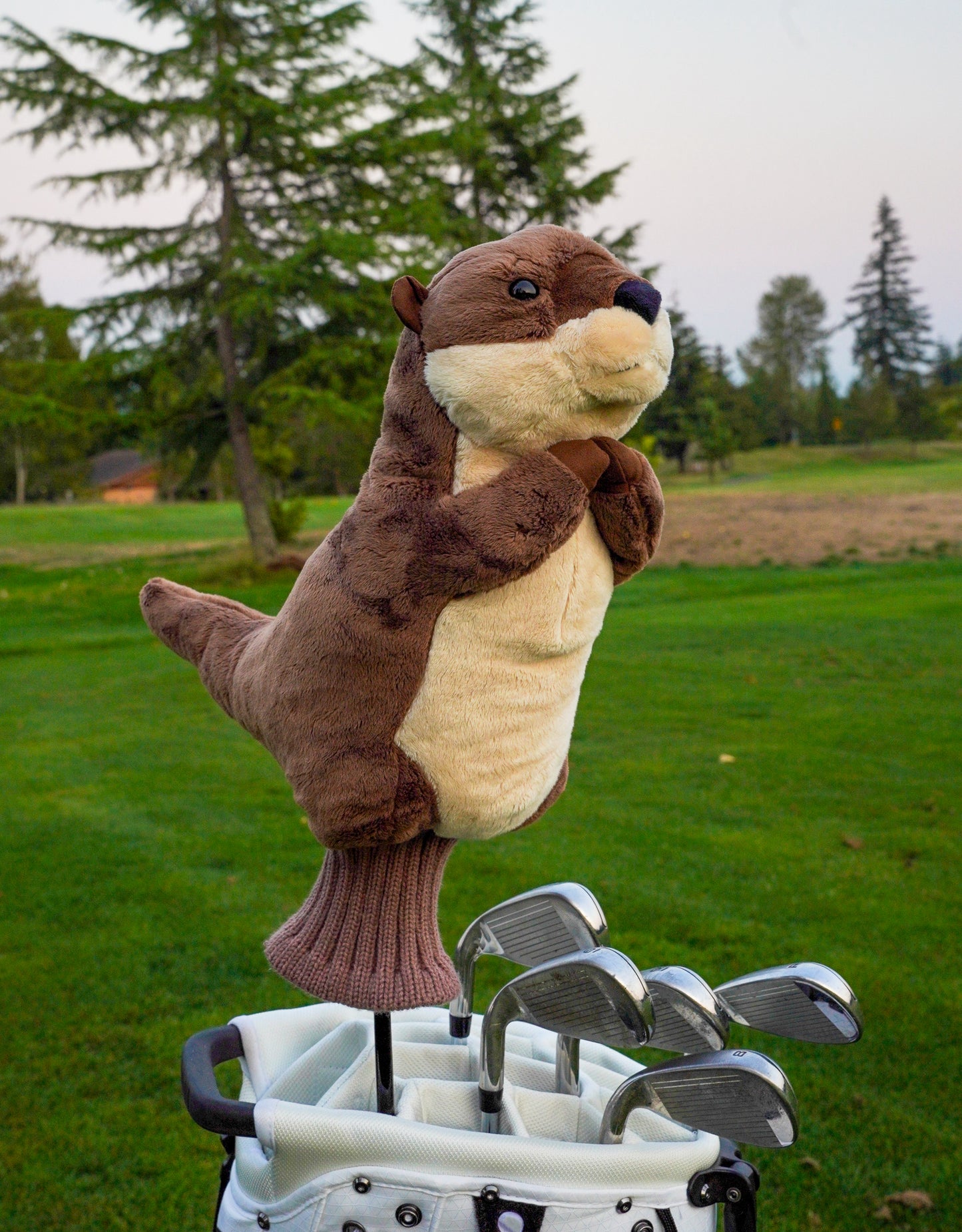 Otter