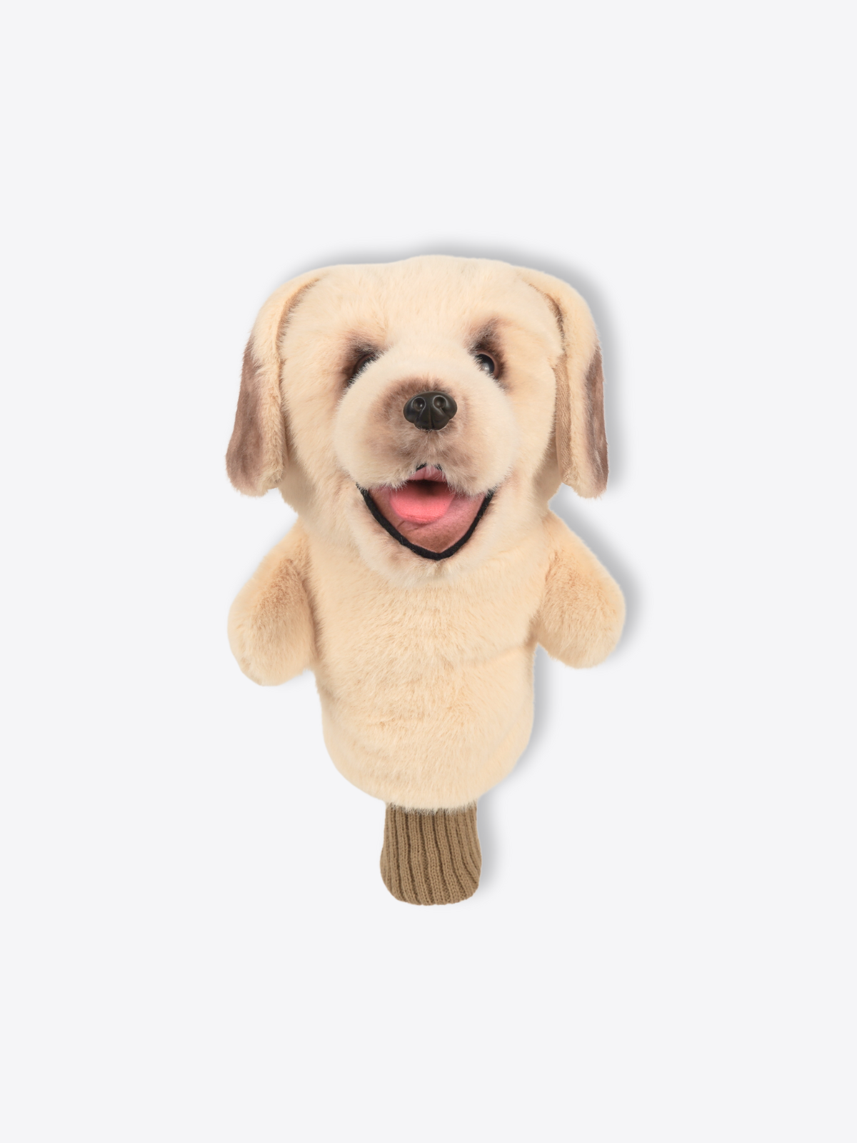 Labrador Retriever Cream