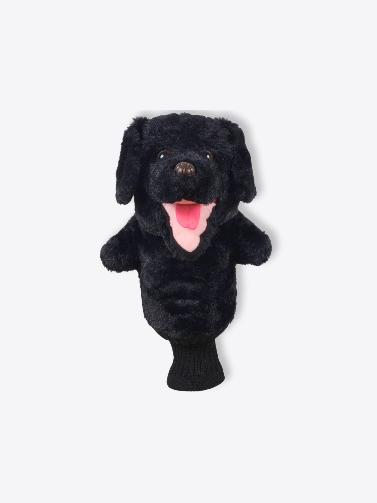 Labrador Retriever Black