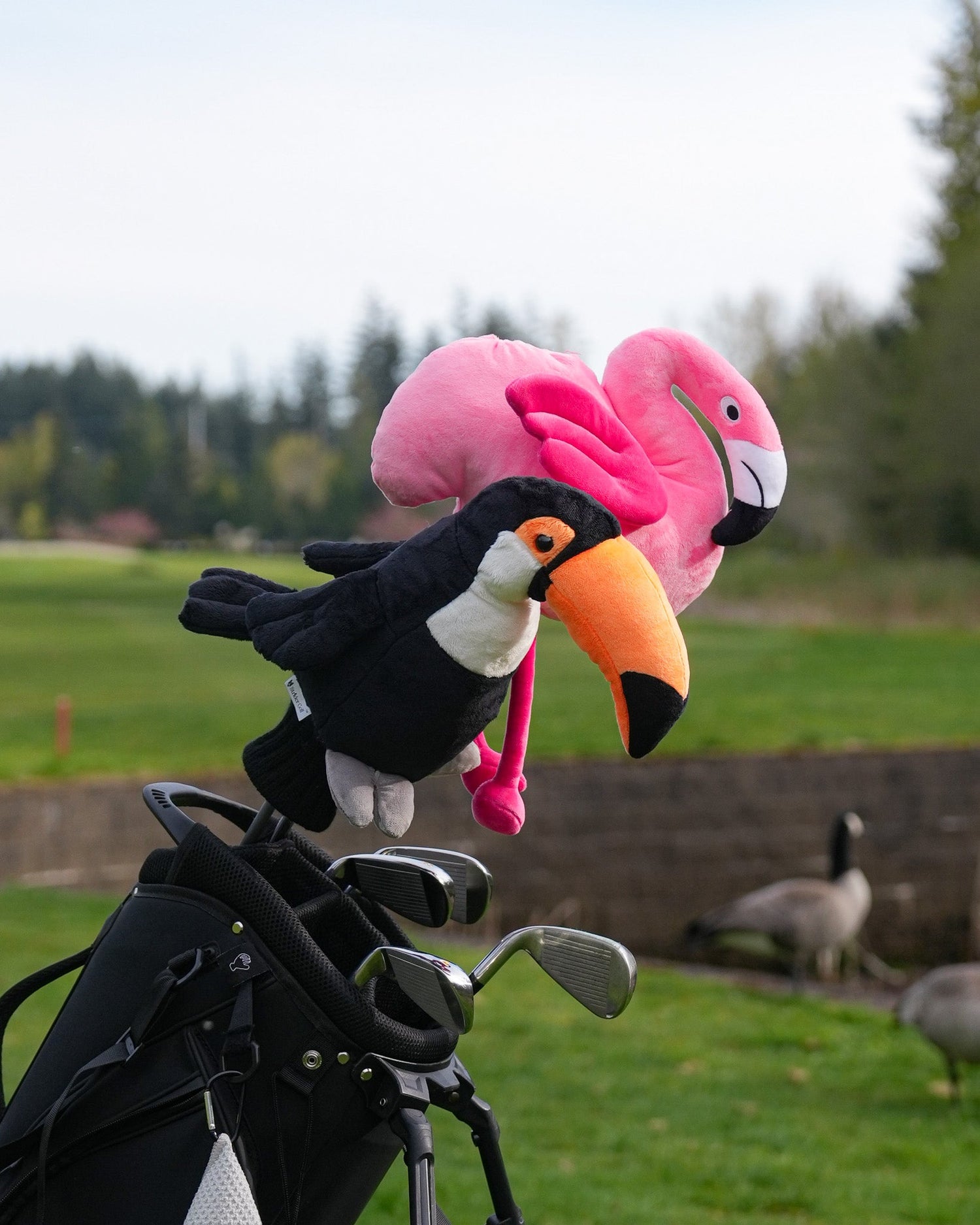 Birdies