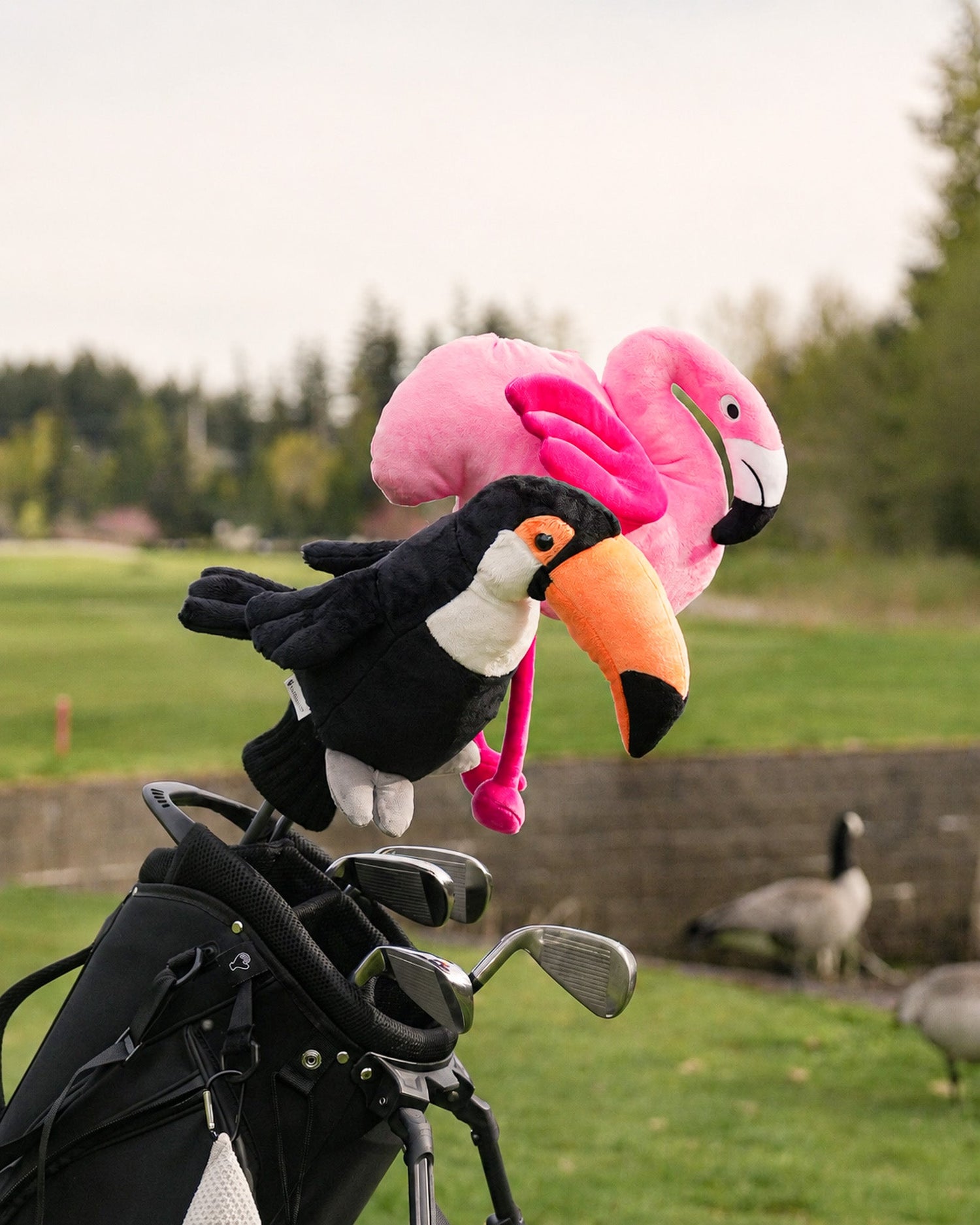 Birdies