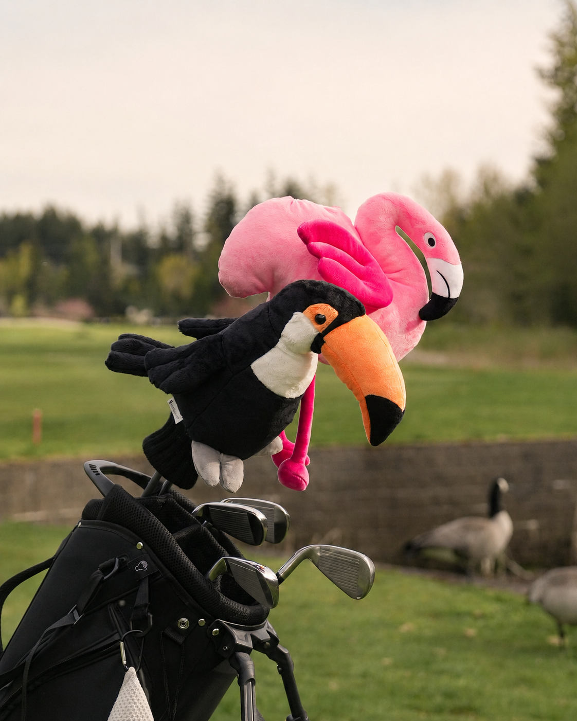 Birdies