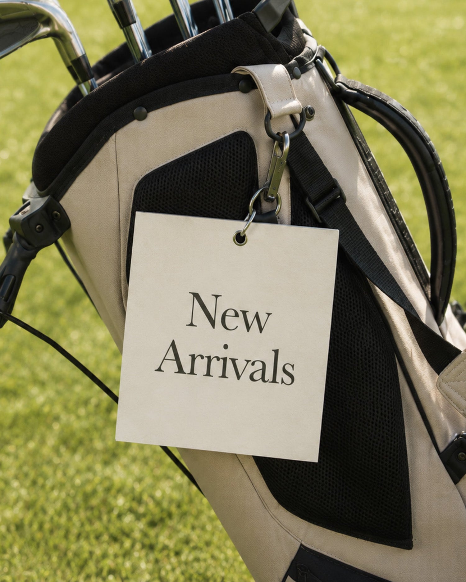 New Arrivals