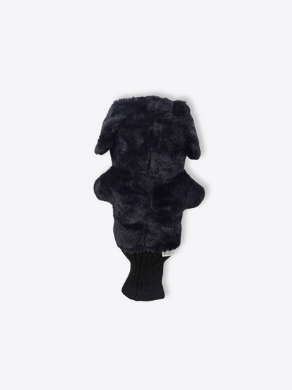 Labrador Retriever Black