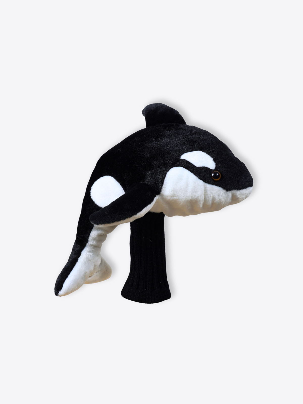 Orca