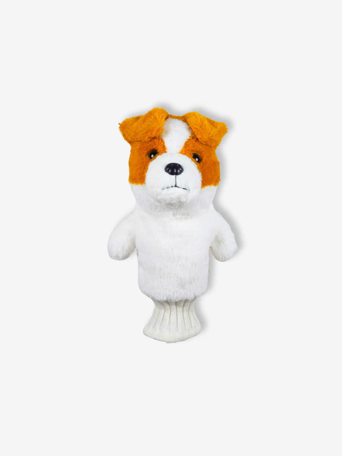 Jack Russell Terrier