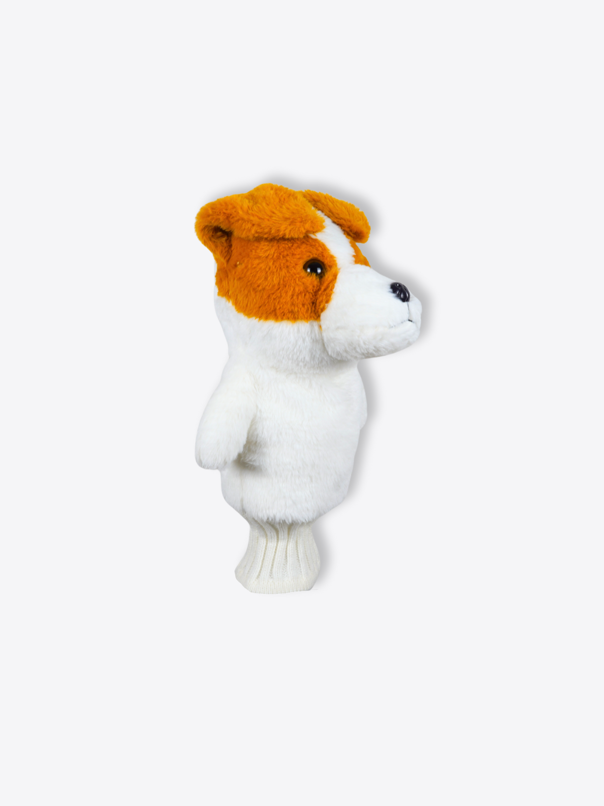 Jack Russell Terrier