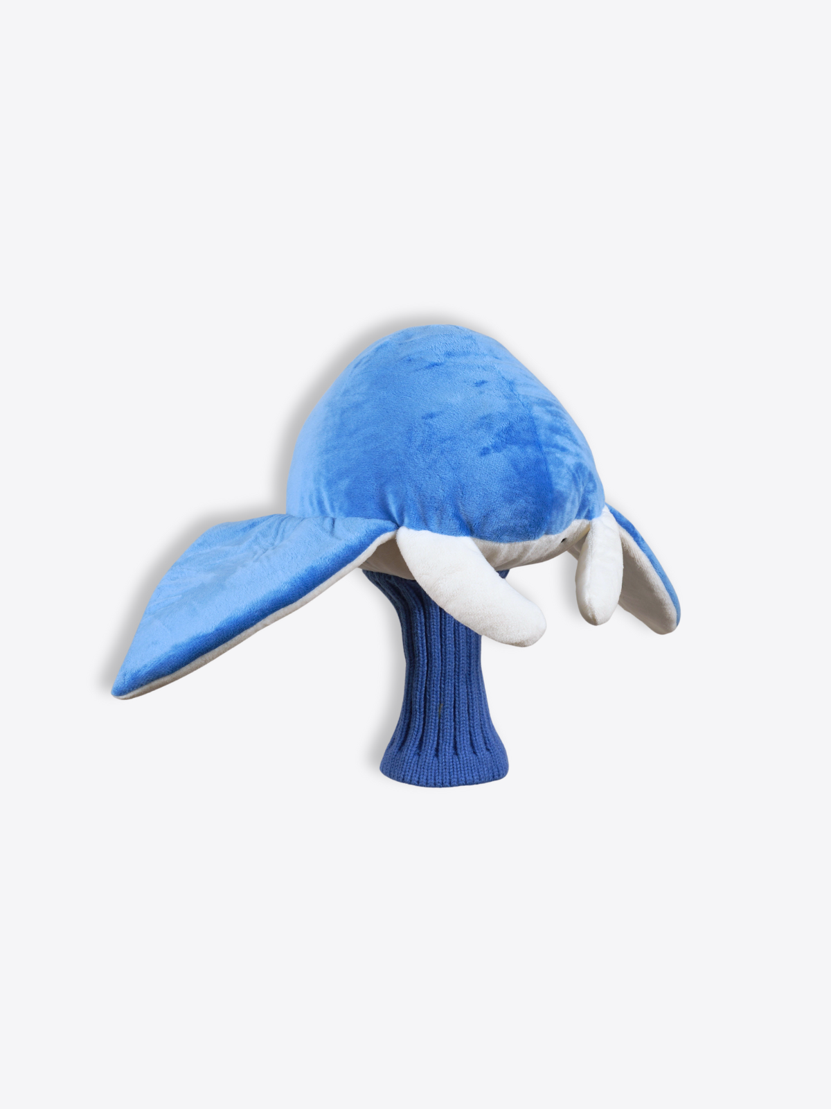 Manta Ray