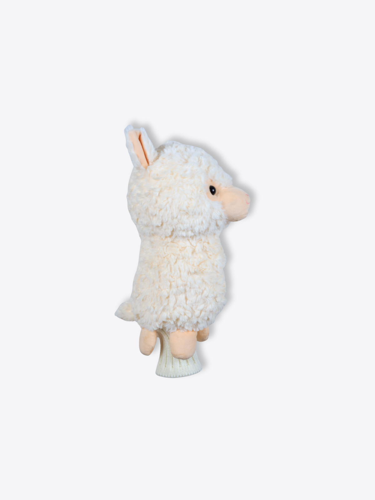 Alpaca