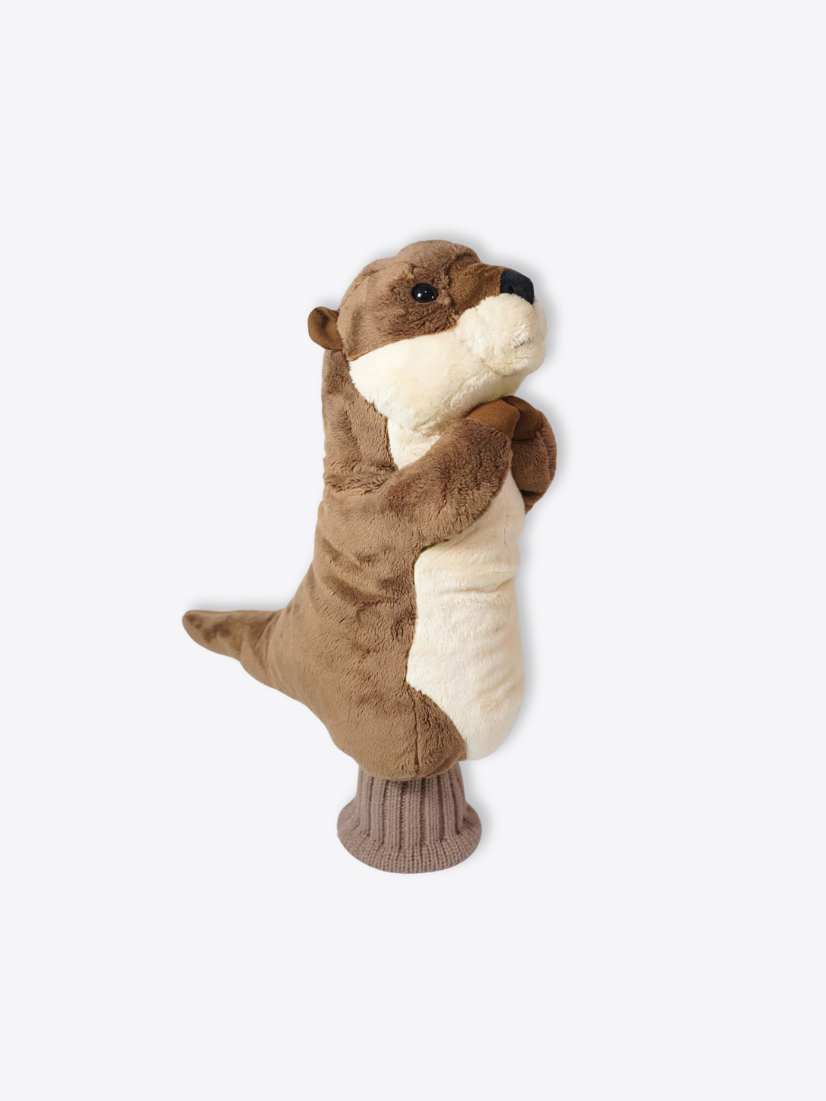 Sea Otter