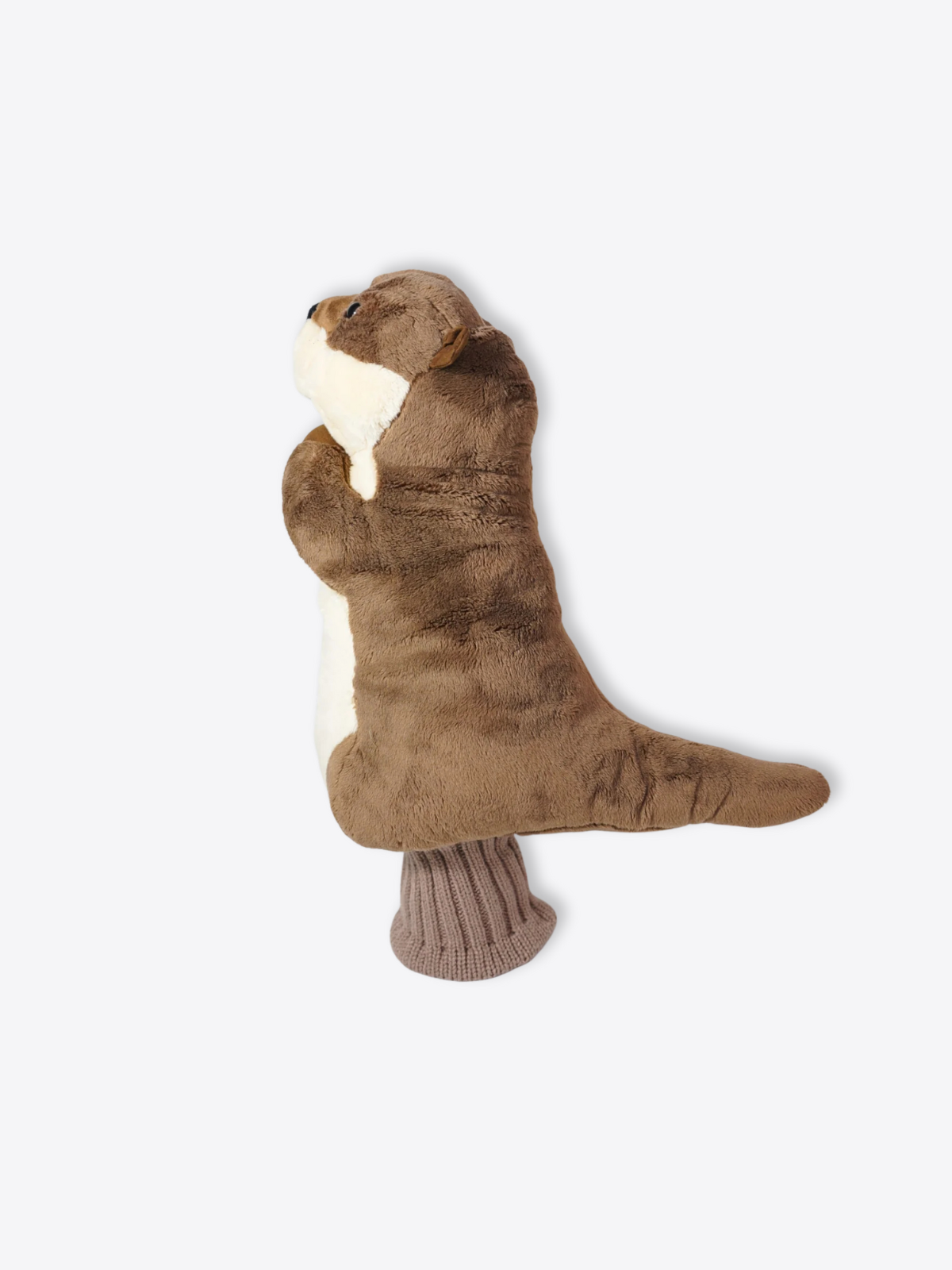 Sea Otter