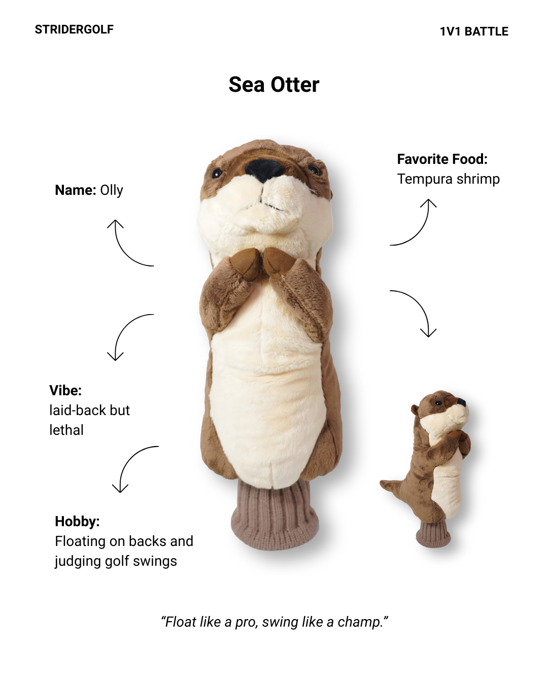 Sea Otter