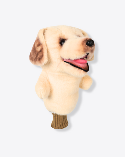 Labrador Retriever Cream