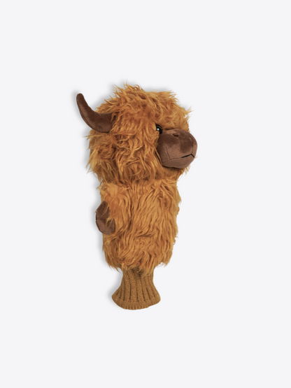 Highland Cattle