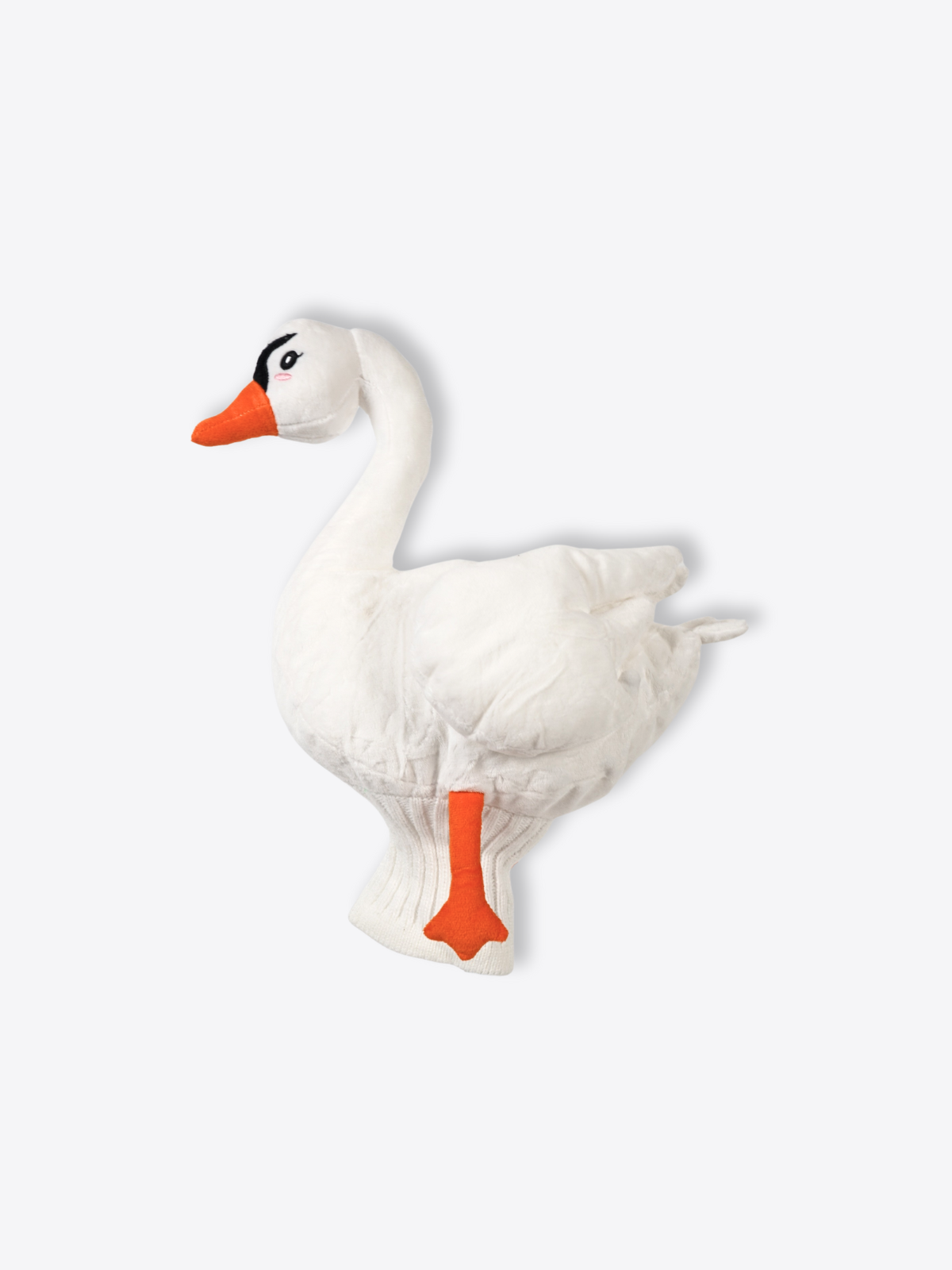 Swan