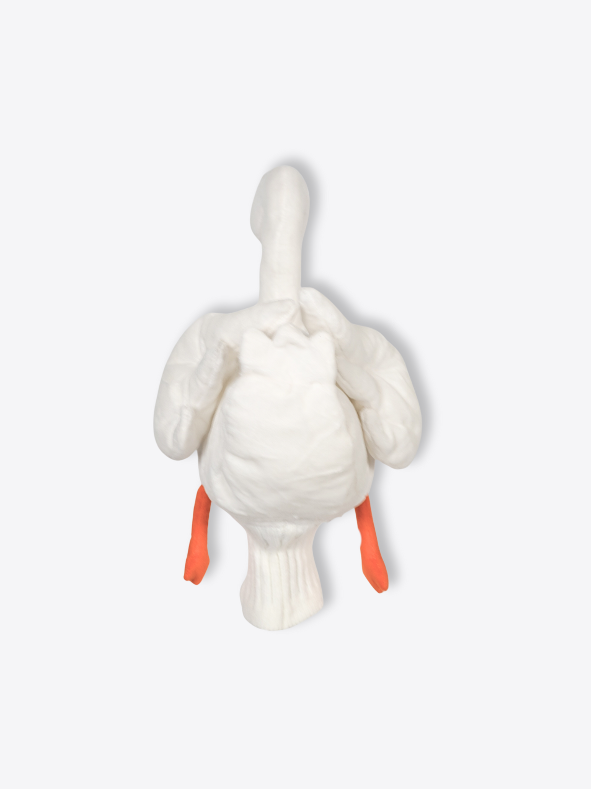 Swan