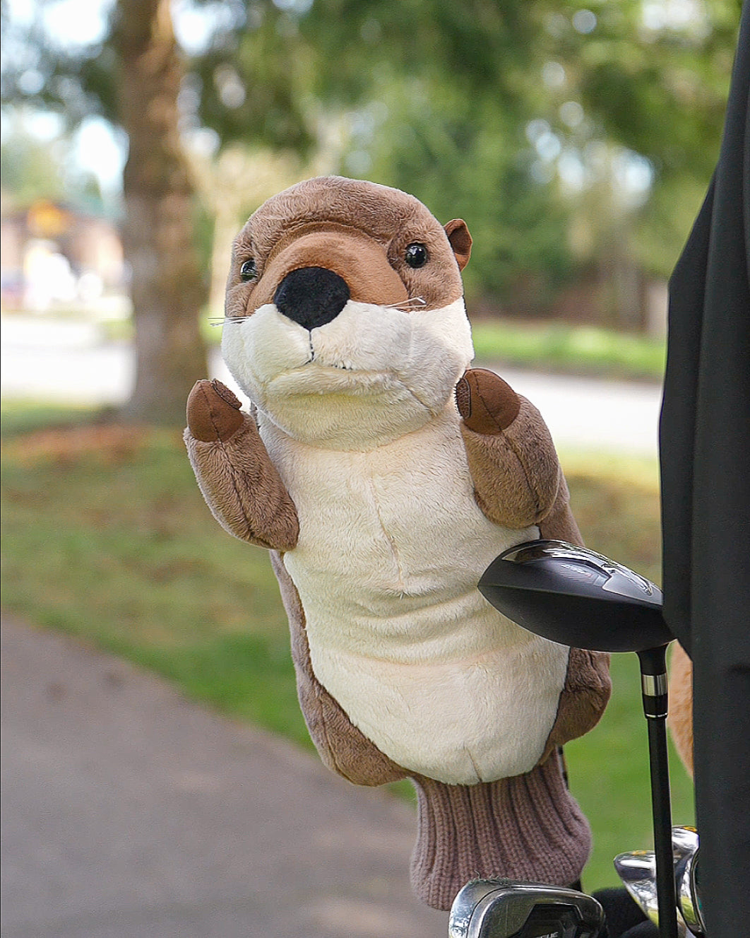 Sea Otter