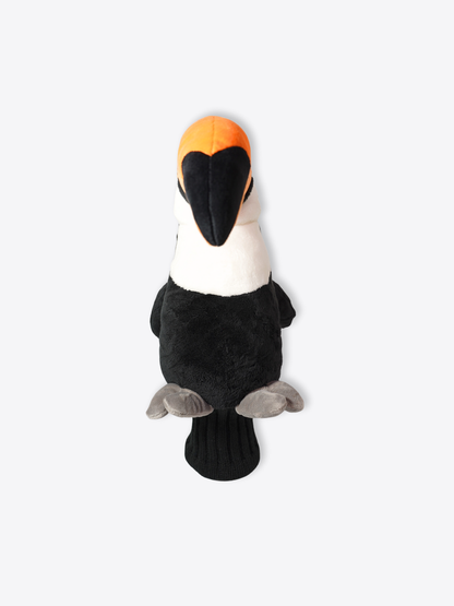 Toucan