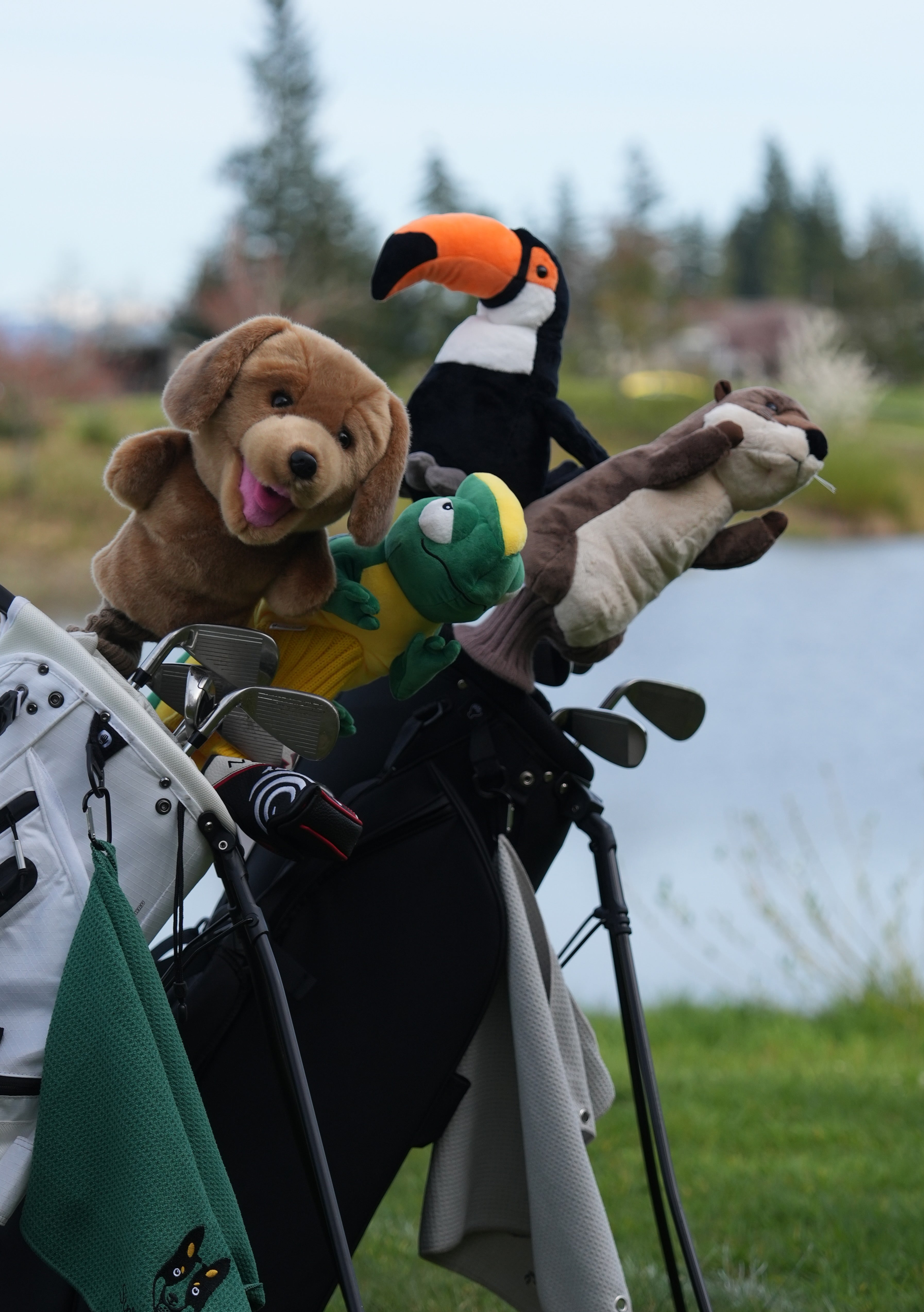 Labrador Retriever Golf Club Headcover | Strider Golf