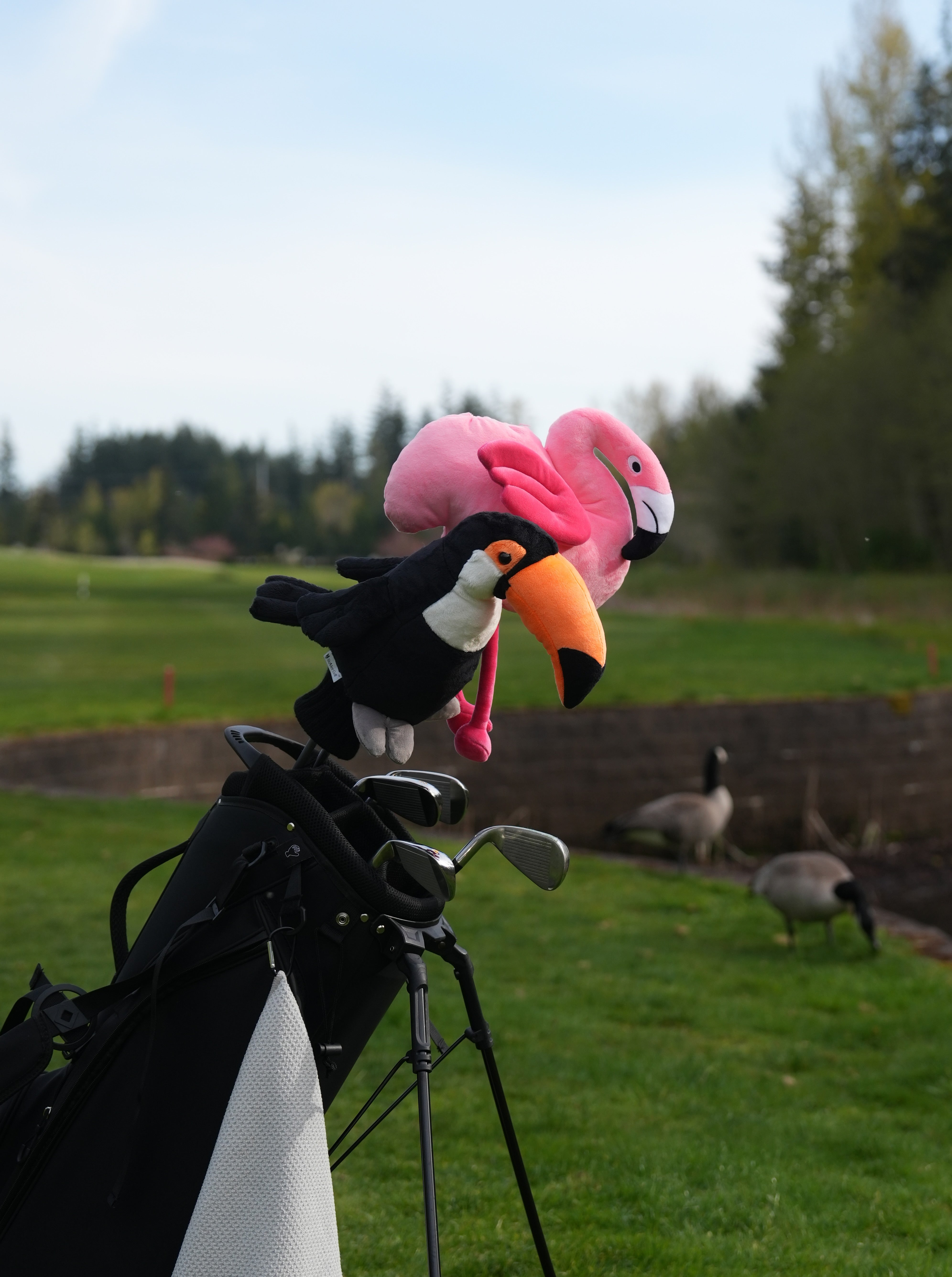 Toucan Golf Club Headcover | Strider Golf