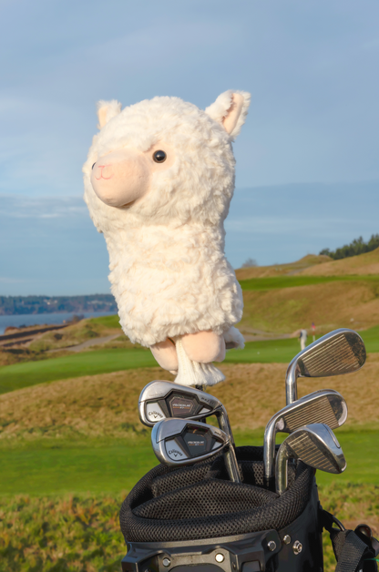 Alpaca