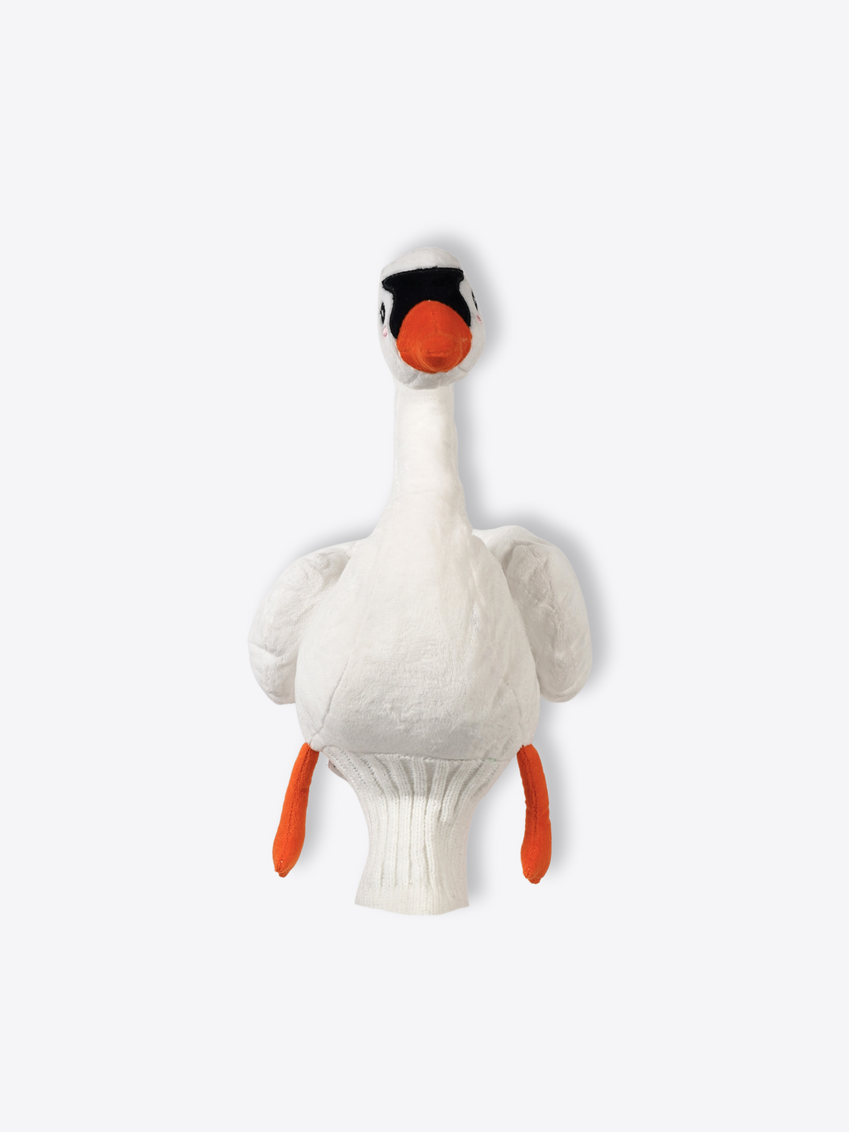 Swan
