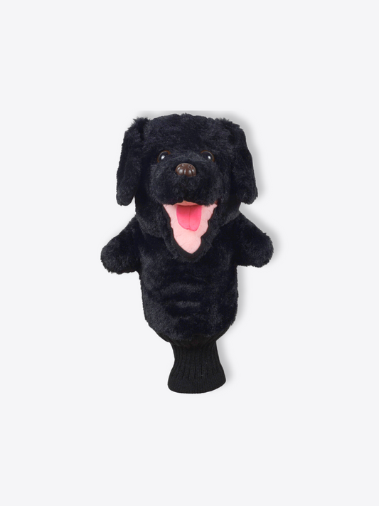 Labrador Retriever Black