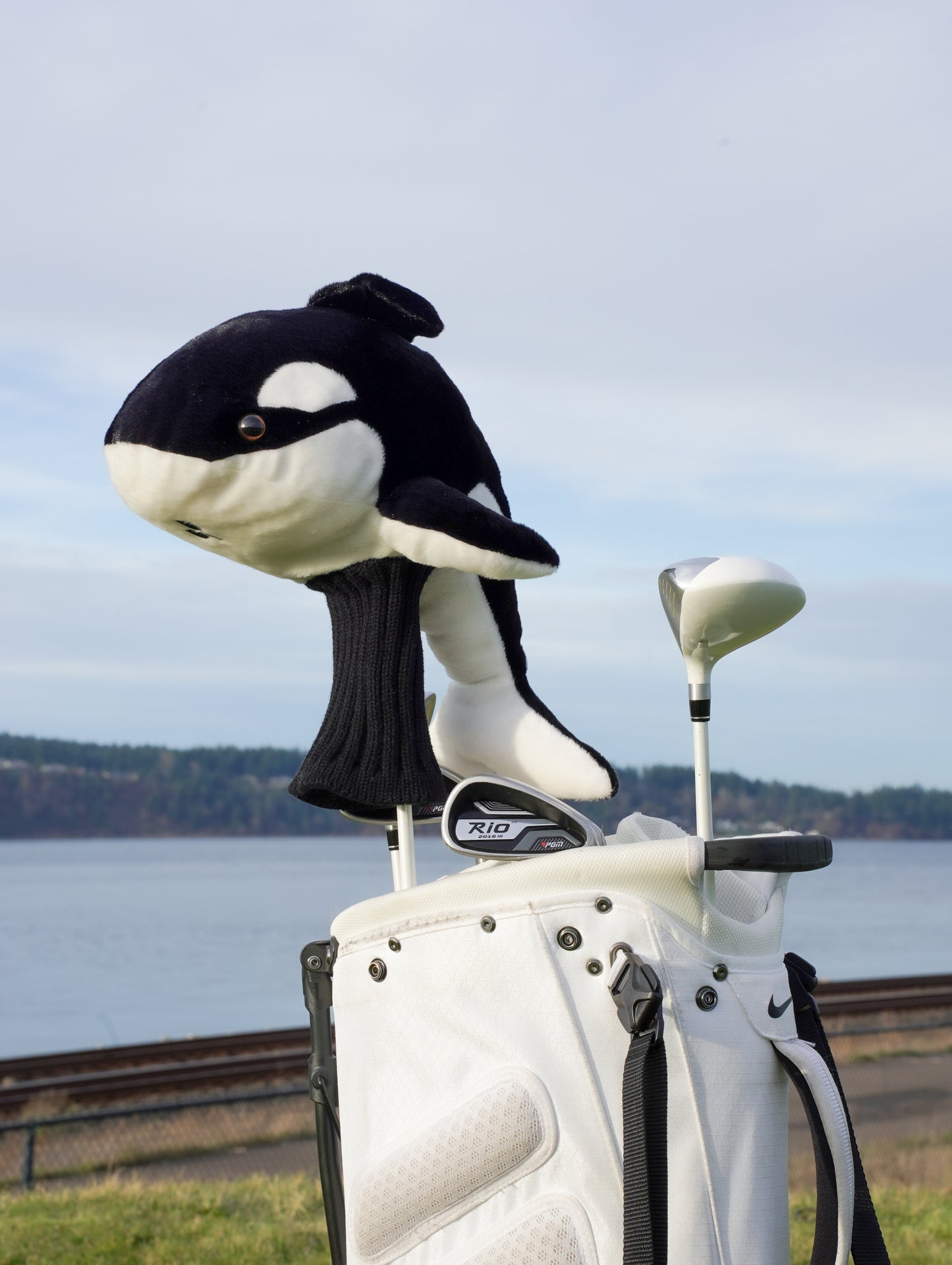 Orca